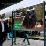 Jsme jedna smečka. Brněnská zoo představila novou vizuální identitu a nový slogan